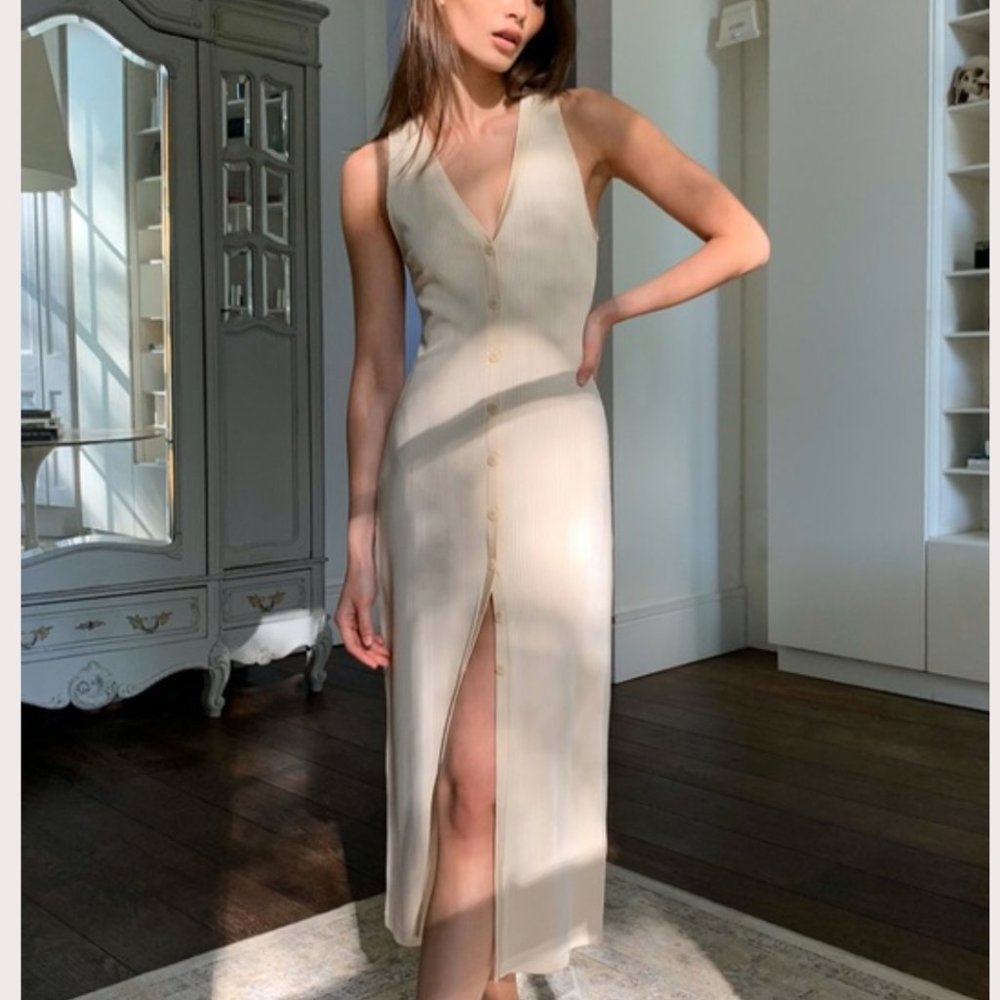 Babaton Jayce Dress NWT(2XS)